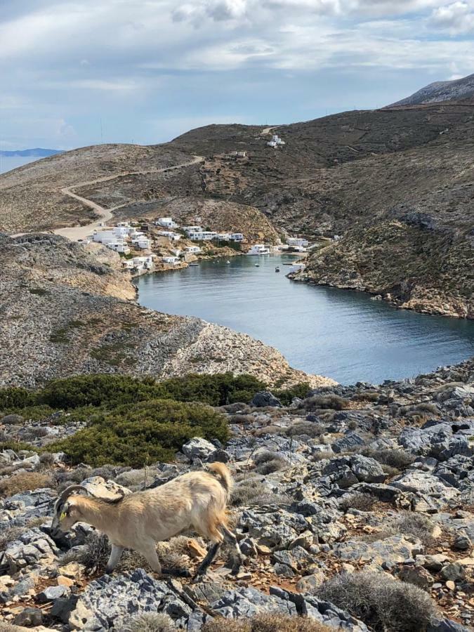Sifnos Sea Lovers Χερρόνησος Εξωτερικό φωτογραφία